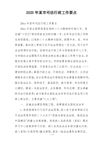 2025年某市司法行政工作要点