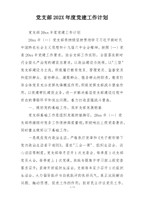 党支部202X年度党建工作计划