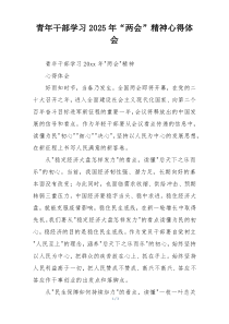 青年干部学习2025年“两会”精神心得体会