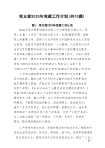 党支部2025年党建工作计划(精选10篇)