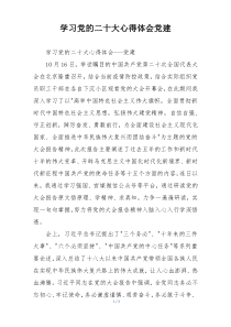 学习党的二十大心得体会党建