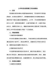 2025上半年党支部党建工作总结报告精选（5篇）