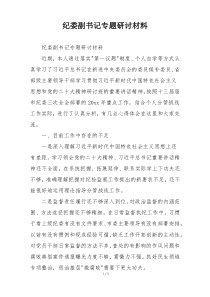 纪委副书记专题研讨材料