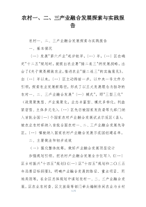 农村一、二、三产业融合发展探索与实践报告