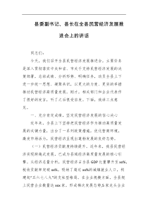 县委副书记县长在全县民营经济发展推进会上的讲话