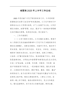 城管局2025年上半年工作总结