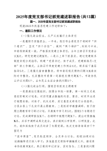 2025年度党支部书记抓党建述职报告最新精选版【13篇】