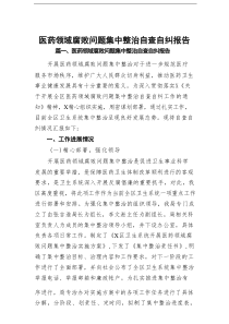（16篇）医药领域腐败问题集中整治自查自纠报告（最新）