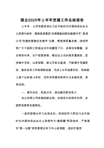 国企2025年上半年党建工作总结报告