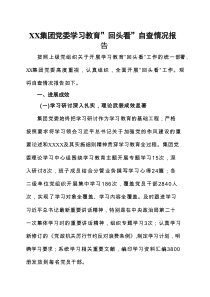 党支部2025年7月学习教育”回头看”自查报告合集