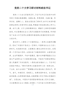 党的二十大学习研讨材料政法书记