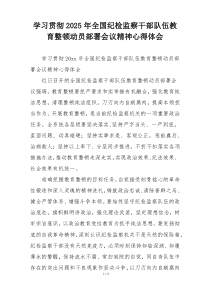 学习贯彻2025年全国纪检监察干部队伍教育整顿动员部署会议精神心得体会