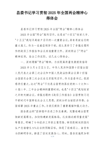 县委书记学习贯彻2025年全国两会精神心得体会