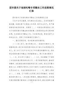 团市委关于违规吃喝专项整治工作进展情况汇报