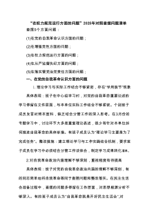 支部“在权力规范运行方面的问题”2025年对照查摆问题清单 （优选）