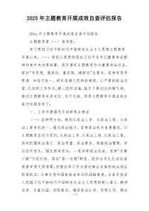 2025年主题教育开展成效自查评估报告