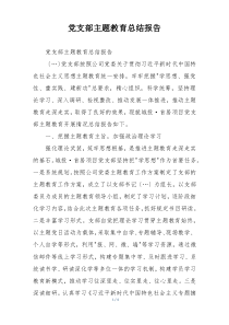 党支部主题教育总结报告