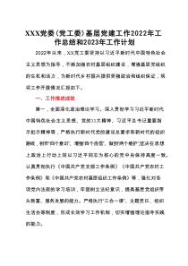 XXX党委（党工委）基层党建工作202x年工作总结和202x年工作计划
