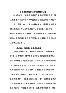 乡镇基层党组织工作开展情况汇报