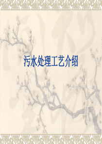 污水处理工艺-污水处理工艺