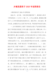 乡镇党委班子2025年述职报告