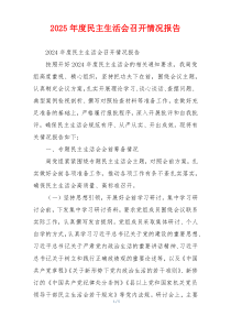 2025年度民主生活会召开情况报告