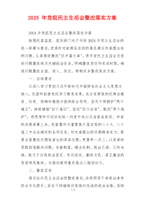 2025 年党组民主生活会整改落实方案