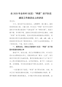 在2025年全市村（社区）“两委”班子队伍建设工作座谈会上的讲话