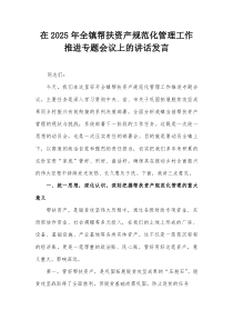 在2025年全镇帮扶资产规范化管理工作推进专题会议上的讲话发言