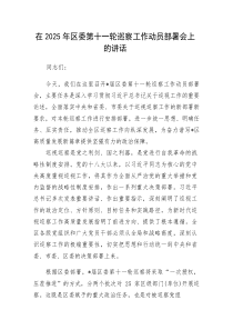 在2025年区委第十一轮巡察工作动员部署会上的讲话(材料)