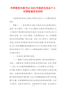 市侨联党支部书记2025年组织生活会个人对照检查发言材料