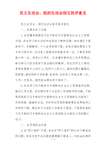 民主生活会、组织生活会相互批评意见