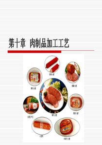 第十章肉制品加工工艺