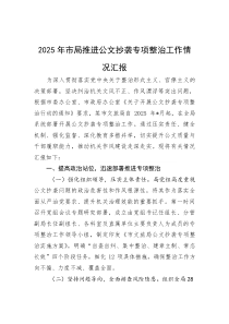 2025年市局推进公文抄袭专项整治工作情况汇报(优质)