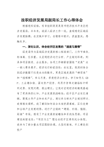 (素材)挂职经济发展局副局长工作心得体会