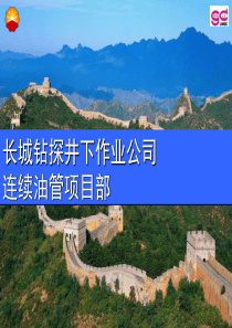 连续油管工艺技术