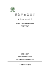 缝纫设备清洁生产审核报告
