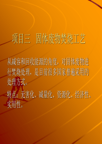 垃圾燃烧机理及设备