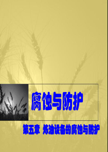第五章炼油设备的腐蚀与防护
