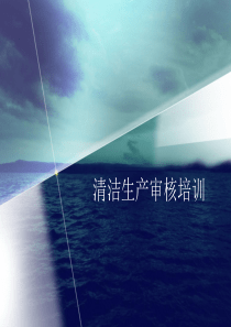 清洁生产审核培训