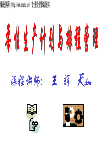 柔性生产计划与排产管理(1)(1)
