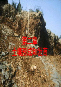 作物生产新理论与新技术