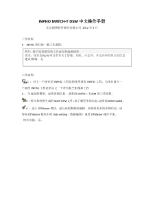 INPHO-MATCH-T-DSM中文操作手册