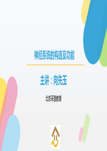 神经系统的构造及功能