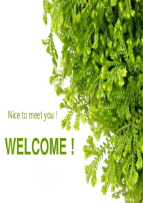 零基础英语学习者英语角课堂