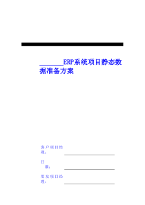 ERP系统项目静态数据准备方案