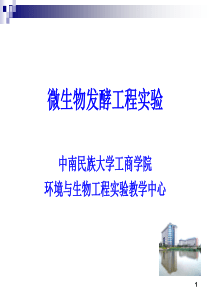 淀粉酶的固定化生产