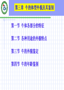 牛生产学(XXXX-XXXX)3章