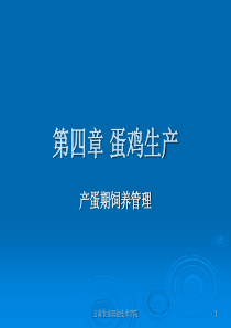 第四章蛋鸡生产4-产蛋期-PowerPointPres
