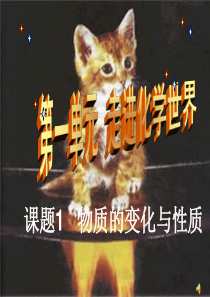 《物质的变化与性质》PPT课件
